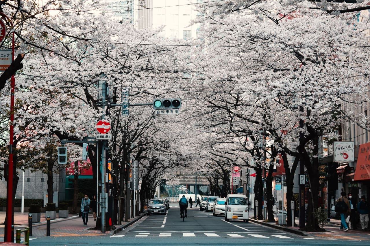 Quand partir au Japon ? La meilleur saison